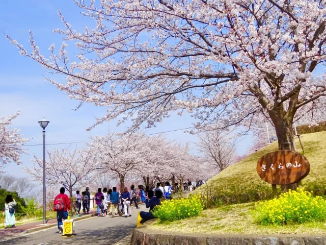 さくらの山公園